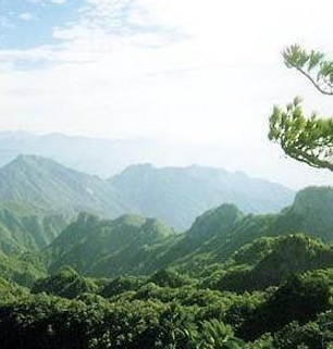 森林防火